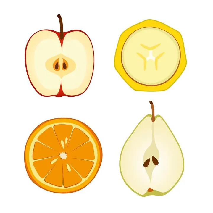 Fruit cross section vector art, icons, and graphics for