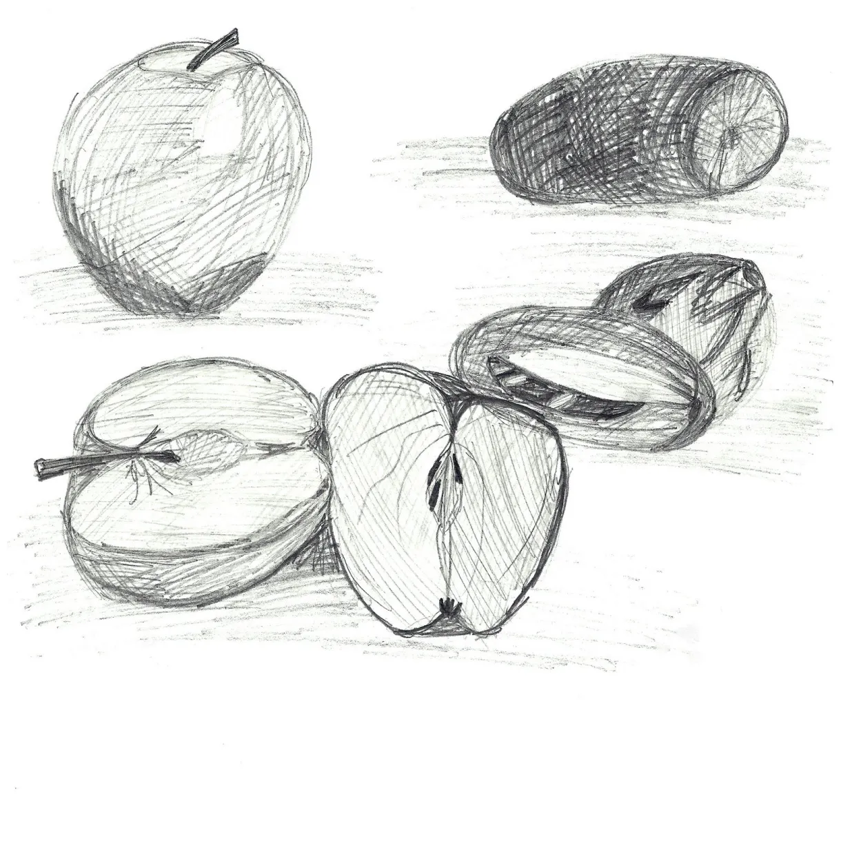 Megan pharmer fruit cross section