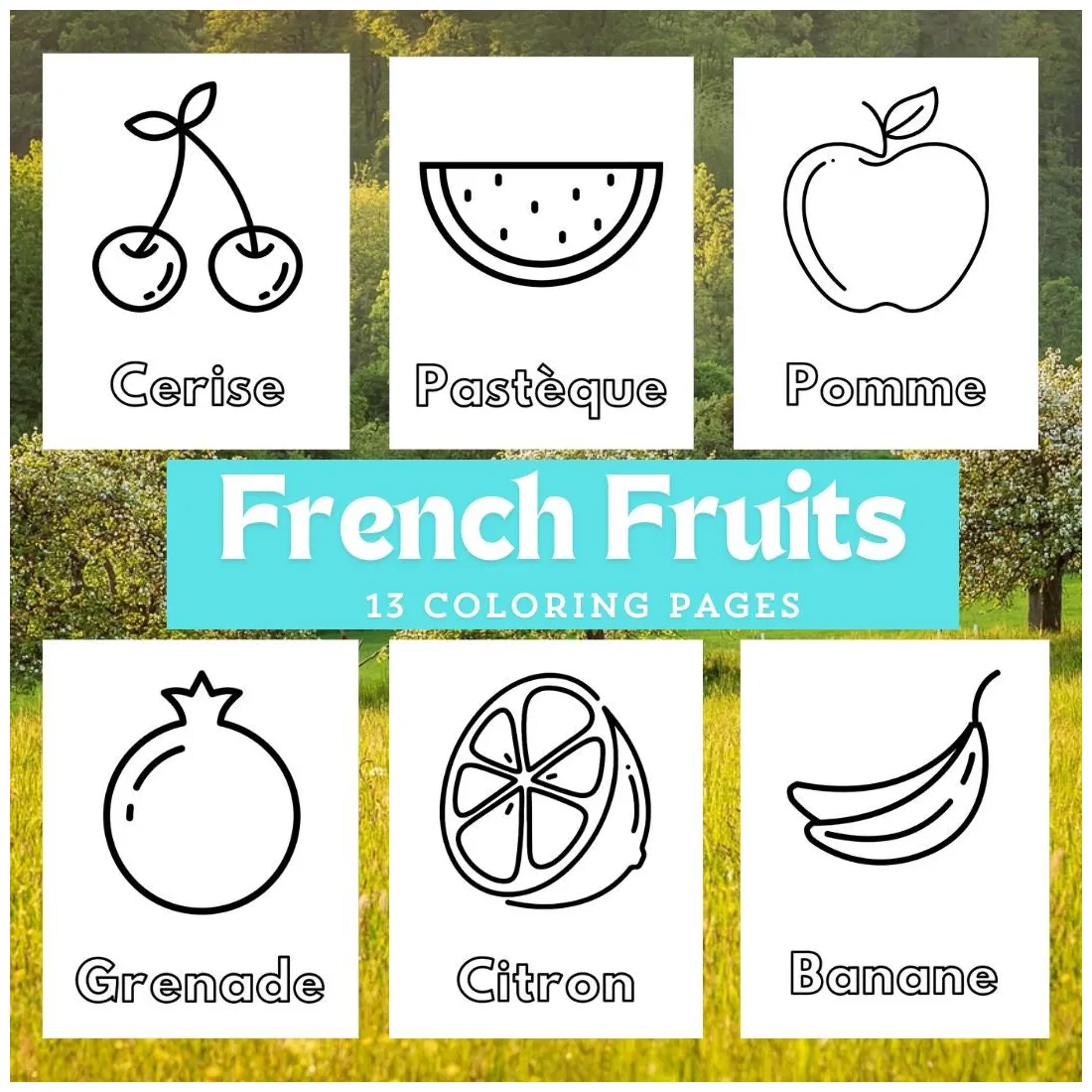 Fruit coloring pages, fruit coloring book for kids, french coloring