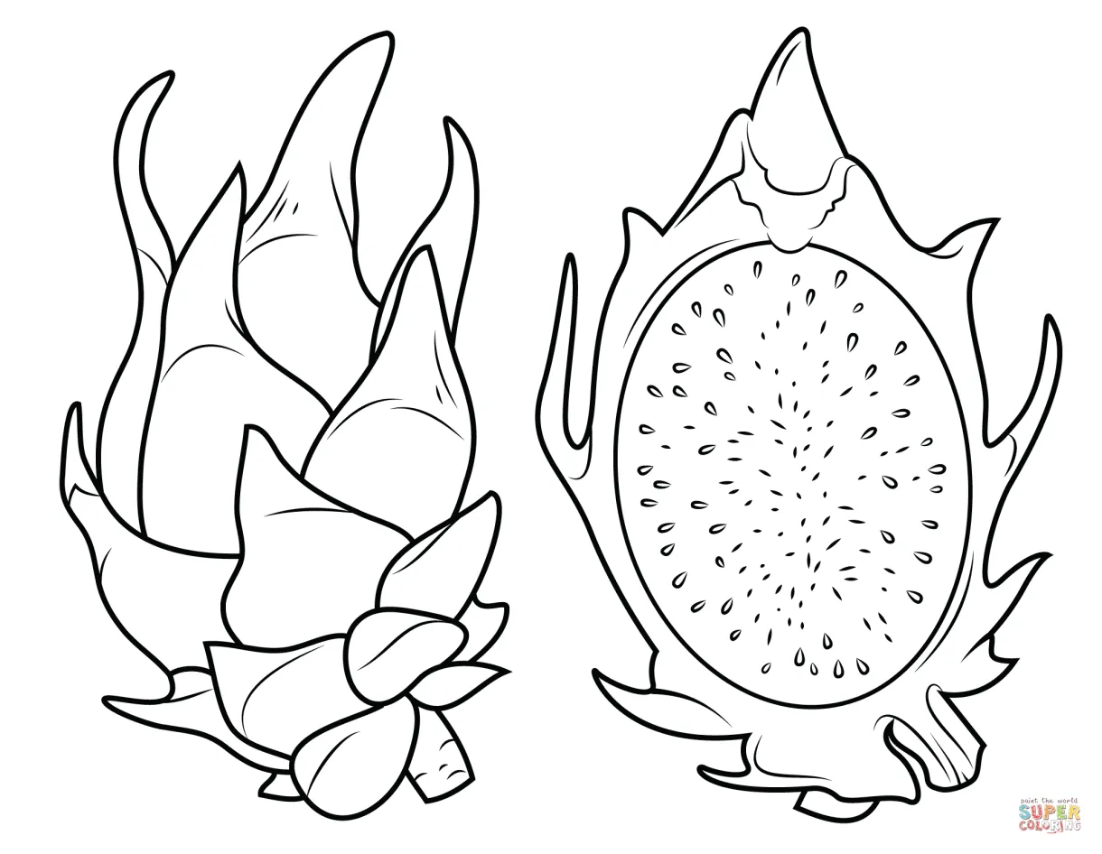 Dragon fruit and its cross section coloring page free printable