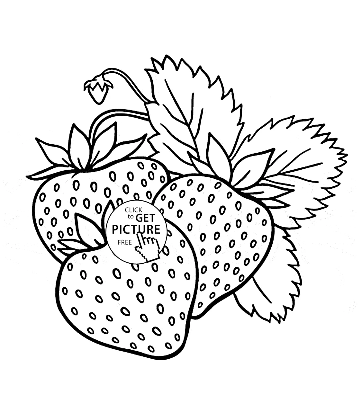 Free coloring pages fruit coloring home