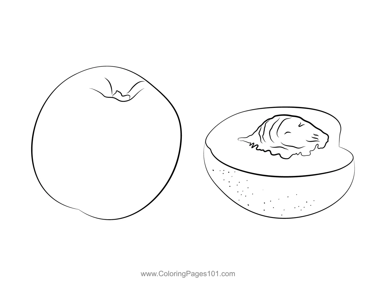 White nectarine and cross section coloring page for kids free