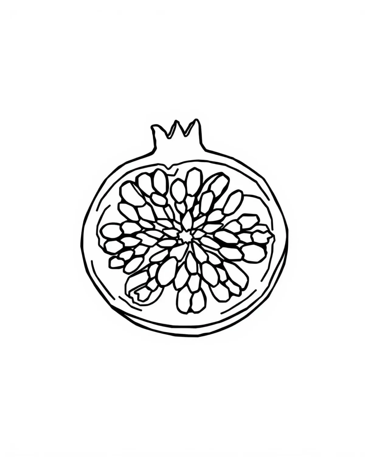 Pomegranate cross-section coloring page free printable