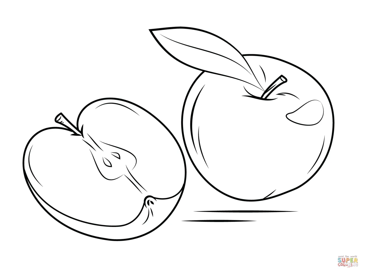 Whole apple and cross section coloring page free printable coloring pages