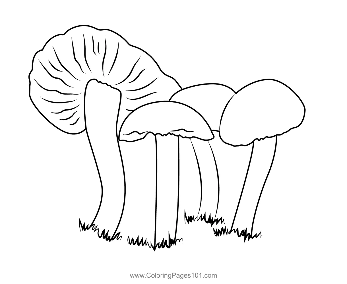 For kids free mushrooms printable coloring pages