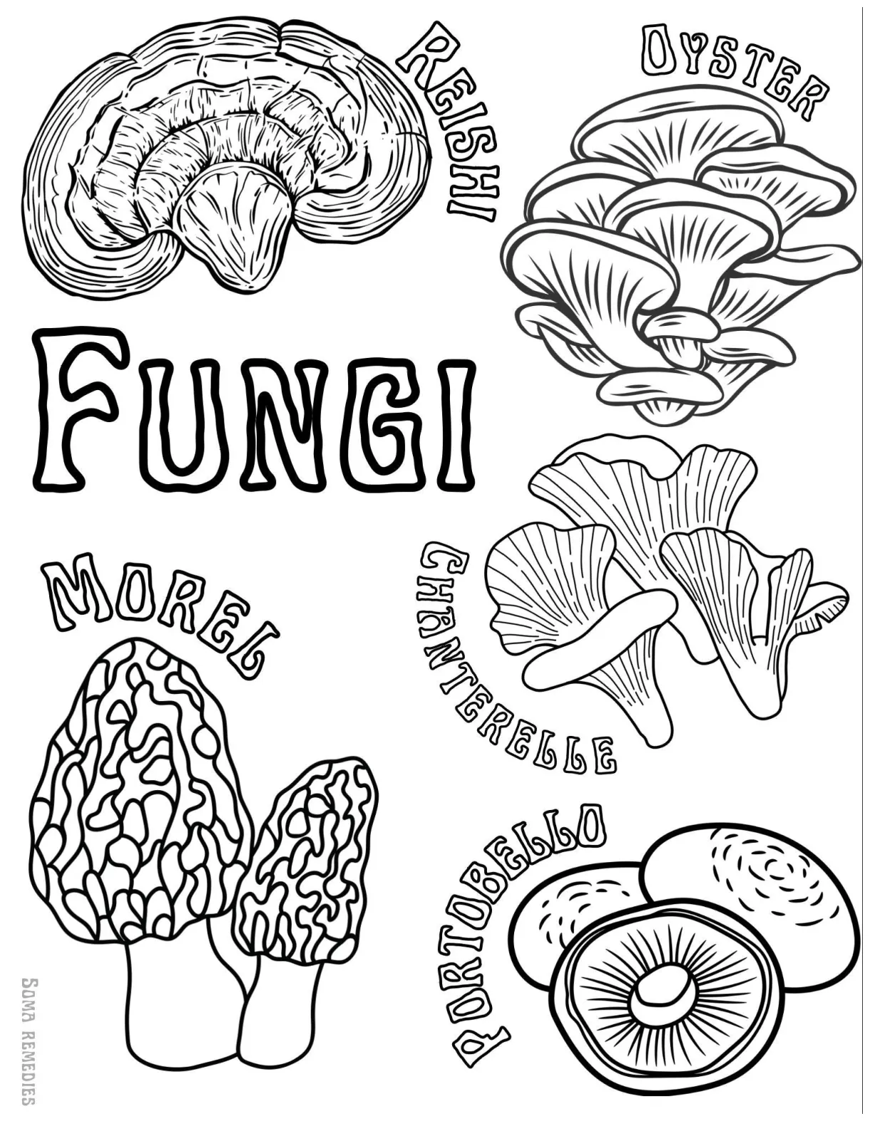 Fungi coloring page, mushroom coloring page, science & nature coloring