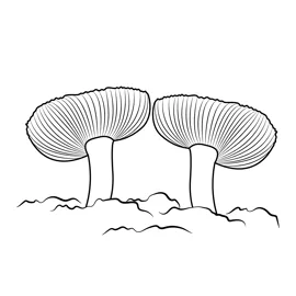 Cute for kids free mushrooms printable coloring