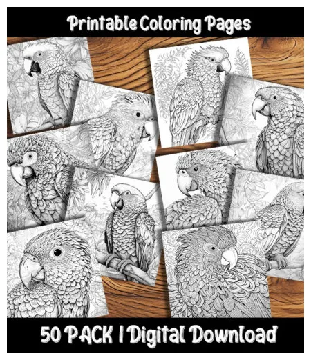 Gargoyle Coloring Pages Digital 50 Pack | Happy Colorist