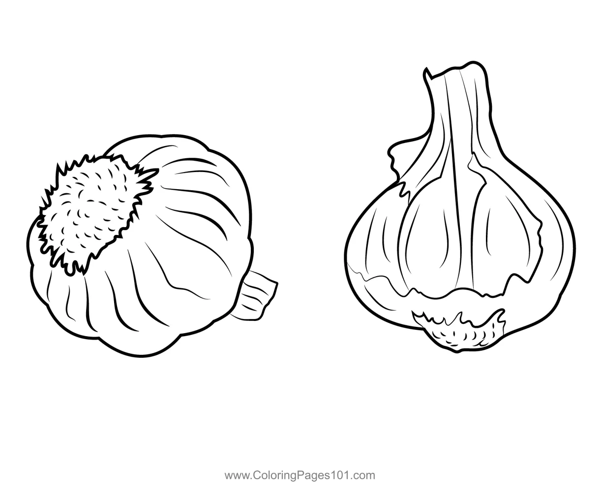 Garlic coloring page for kids free garlic printable coloring pages