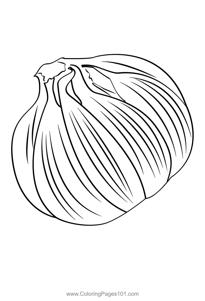 Garlic 3 coloring page for kids free garlic printable coloring pages