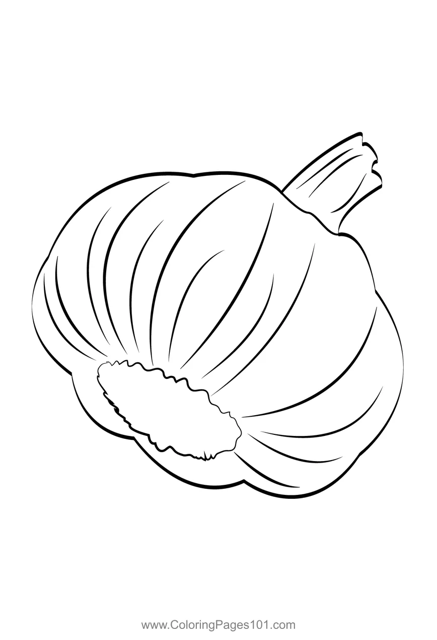Garlic 1 coloring page for kids free garlic printable coloring pages