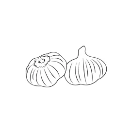 Fresh garlic coloring page for kids free garlic printable coloring