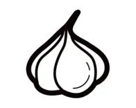 Garlic coloring page free printable coloring pages