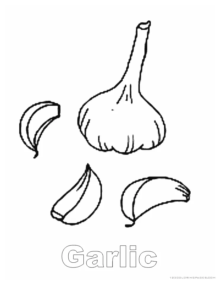 Garlic coloring pages printable coloring page