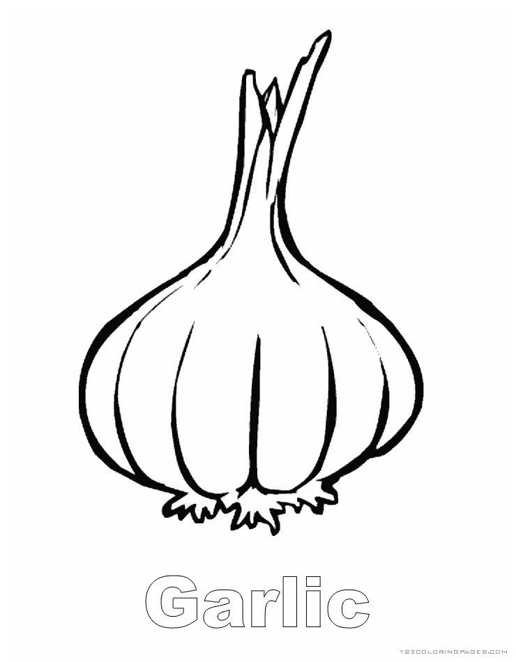 Garlic coloring pages
