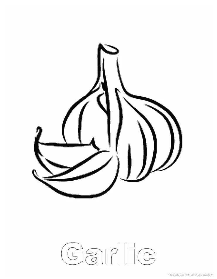 Garlic coloring pages