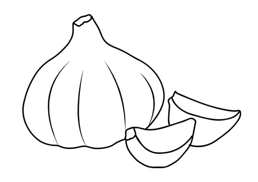 Garlic coloring page coloring page