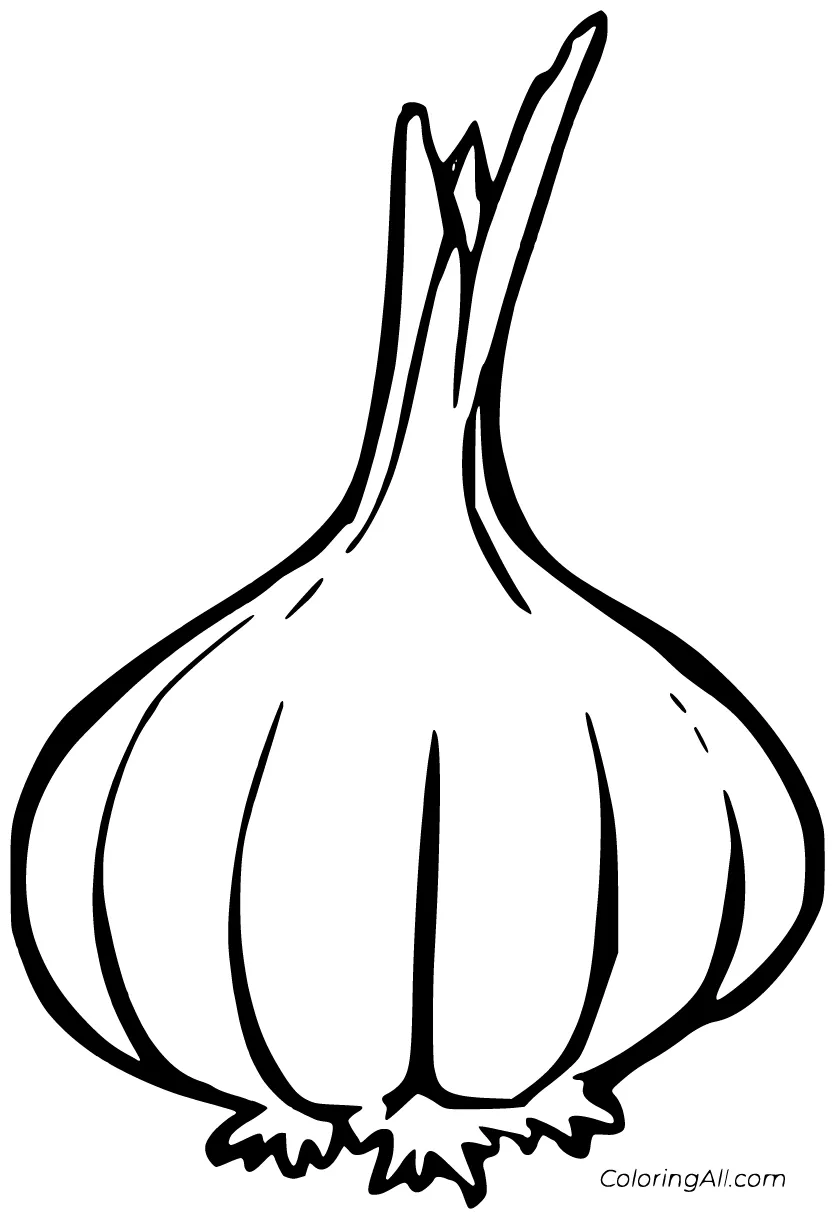 Garlic coloring pages 4 free printables coloringall