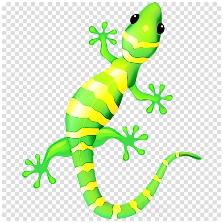 Download high quality lizard clipart gecko transparent png s art