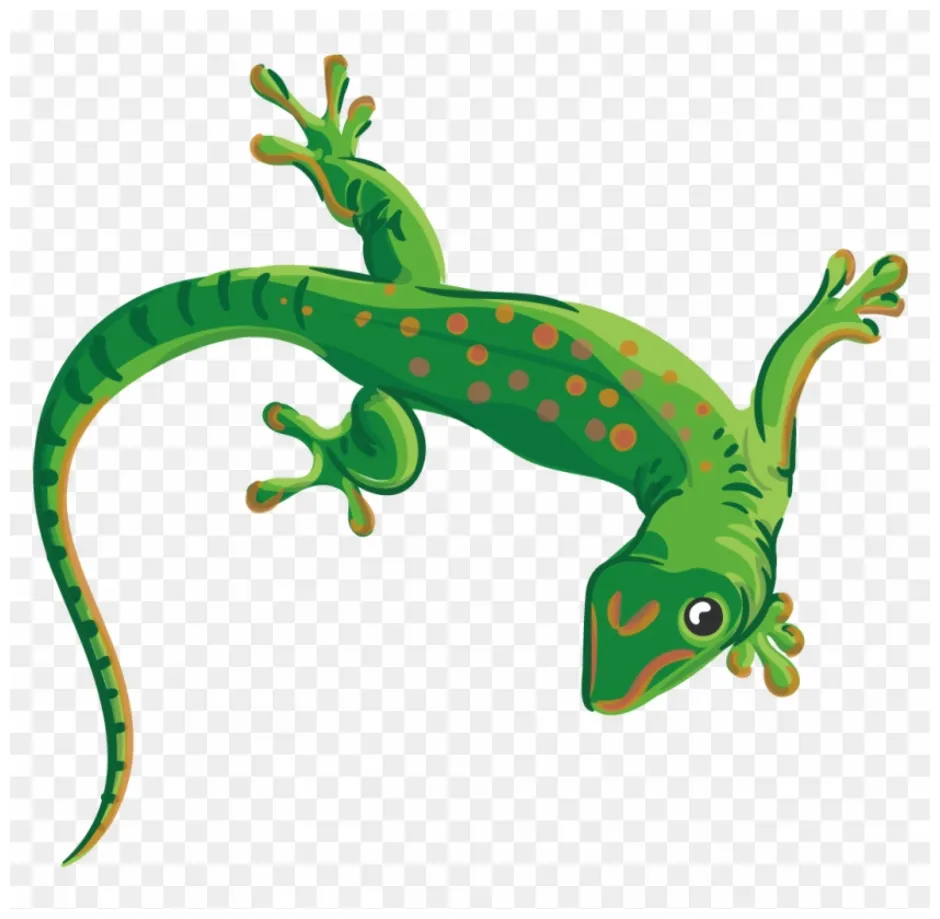 Download high quality lizard clipart gecko transparent png s art