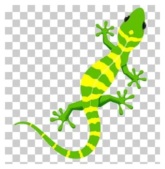 Crested Gecko Lizard Reptile Gekkota PNG, Clipart, Agama, Amphibian