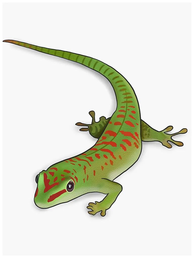 "lil’ day gecko " sticker by sami-jaz redbubble