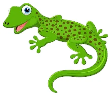 Gecko png transparent s pngfre
