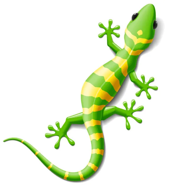 ヤモリの持つ4つのスピリチュアルな力と意味 三日月はづきの光の導き printable coloring page