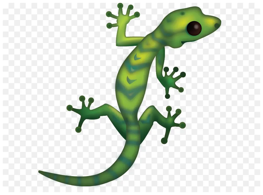 Gecko clipart chipkali, gecko chipkali transparent free for download on