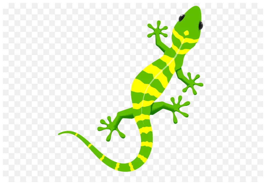 Gecko clipart painted, gecko painted transparent free for download on