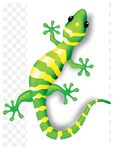 Gecko png s pngwing