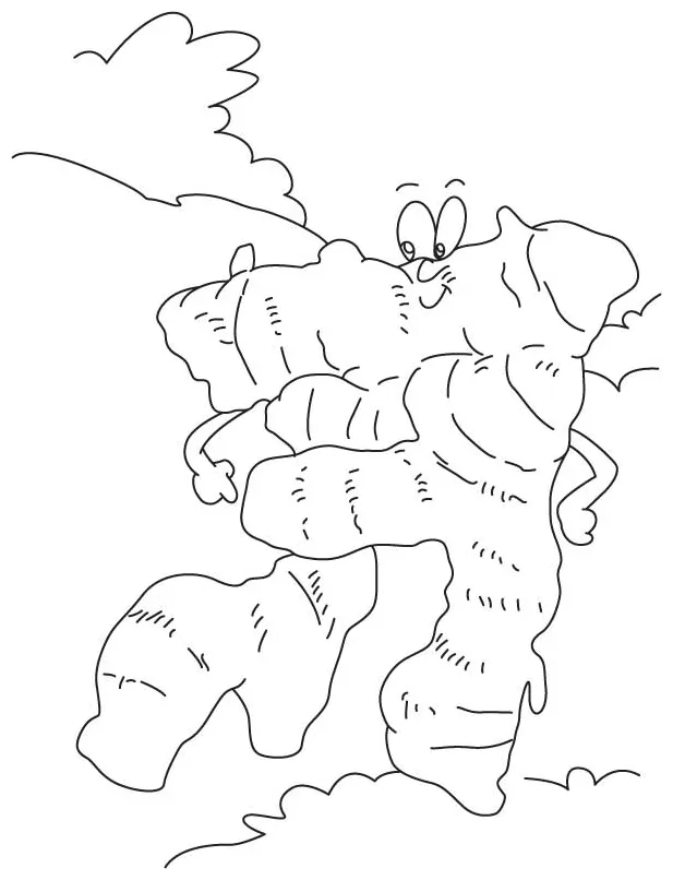 Ginger root coloring page