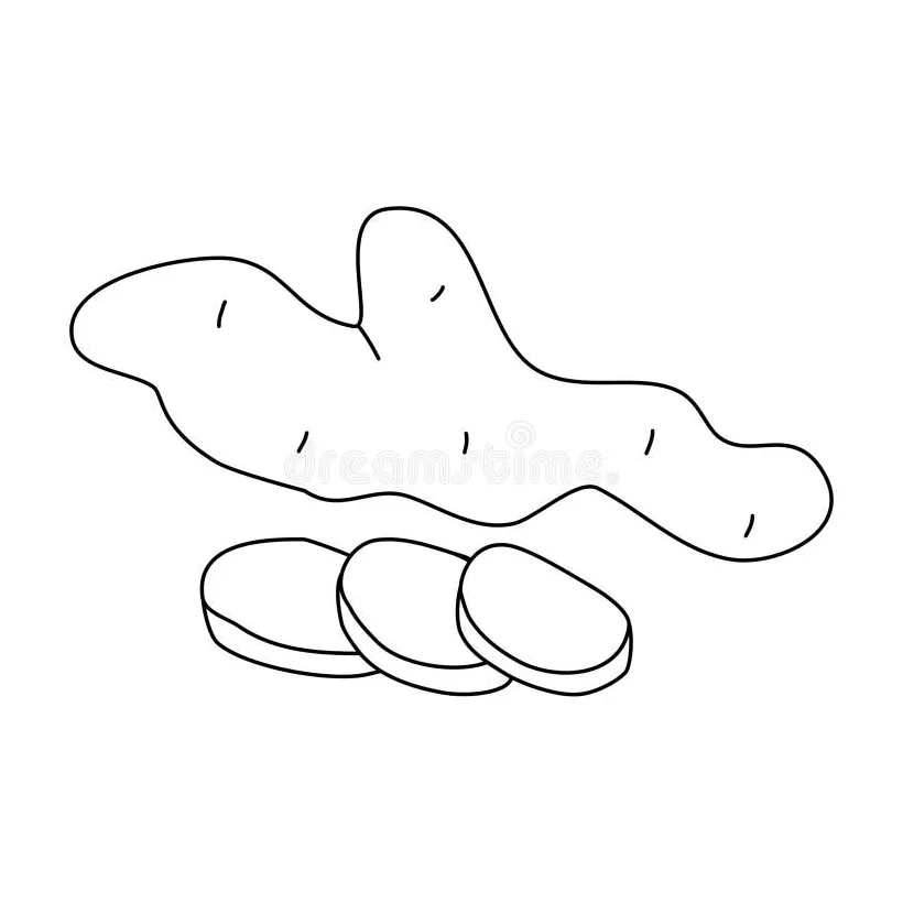 Ginger Root with Slices, Doodle Style Flat Vector Outline for Coloring