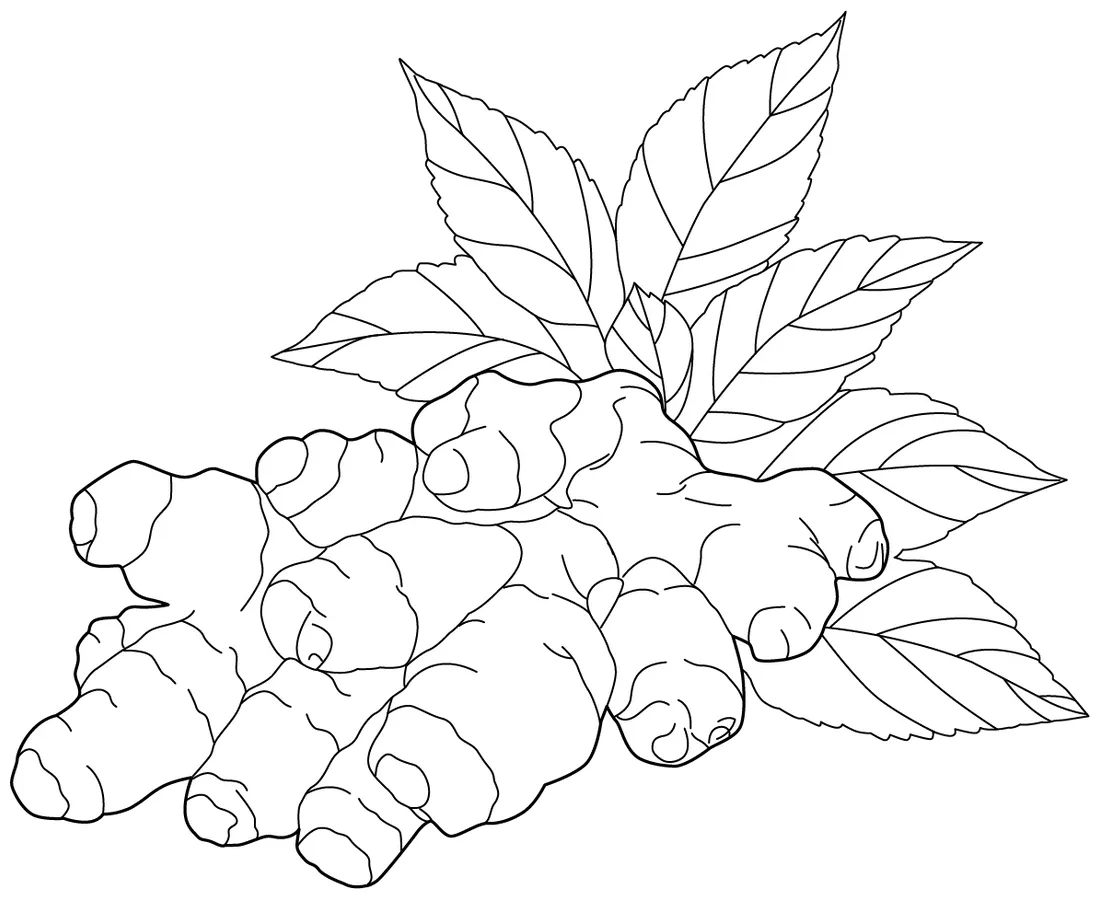 Ginger Coloring Page – Free Printable PDF for Kids Fun