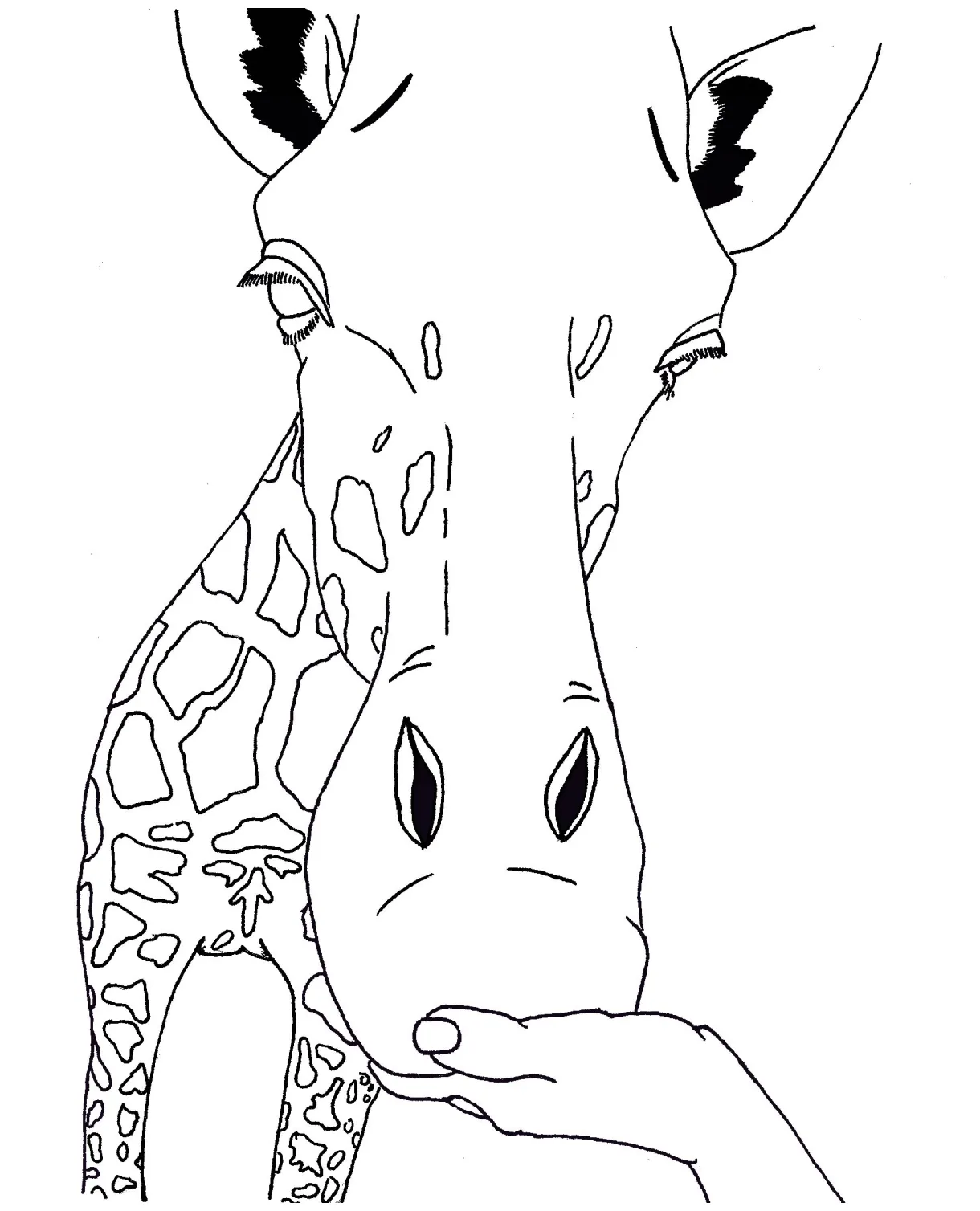 Free Printable Giraffe Coloring Pages For Kids