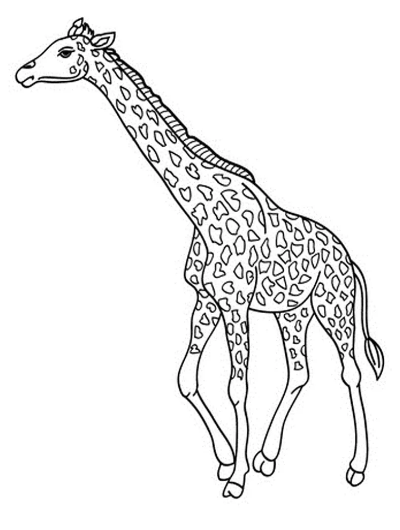 Free printable s for kids