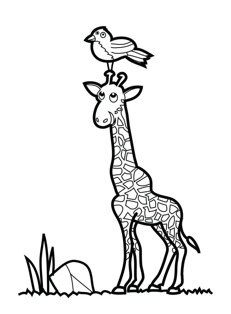Free Printable Giraffe Coloring Pages For Kids