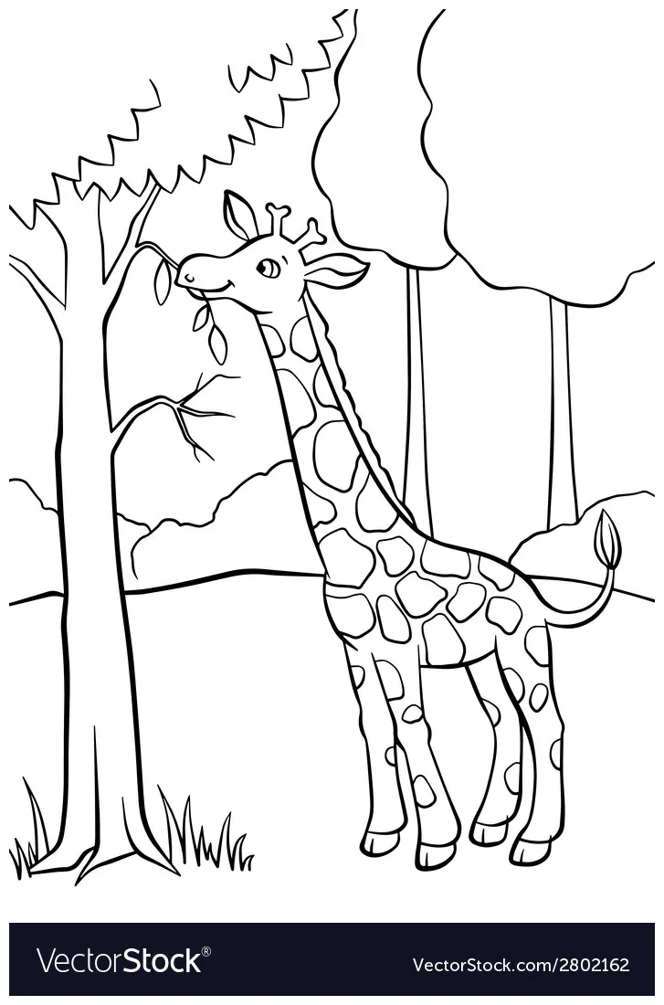 Giraffe eating leaves coloring page