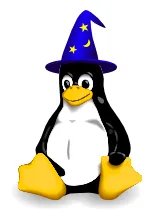 Mr. wizard consulting