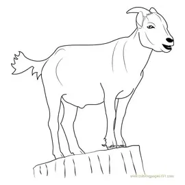 Goat standing on stump coloring page for kids free goat printable