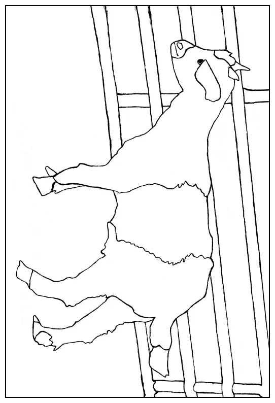 Goat coloring page animals town animals color sheet goat