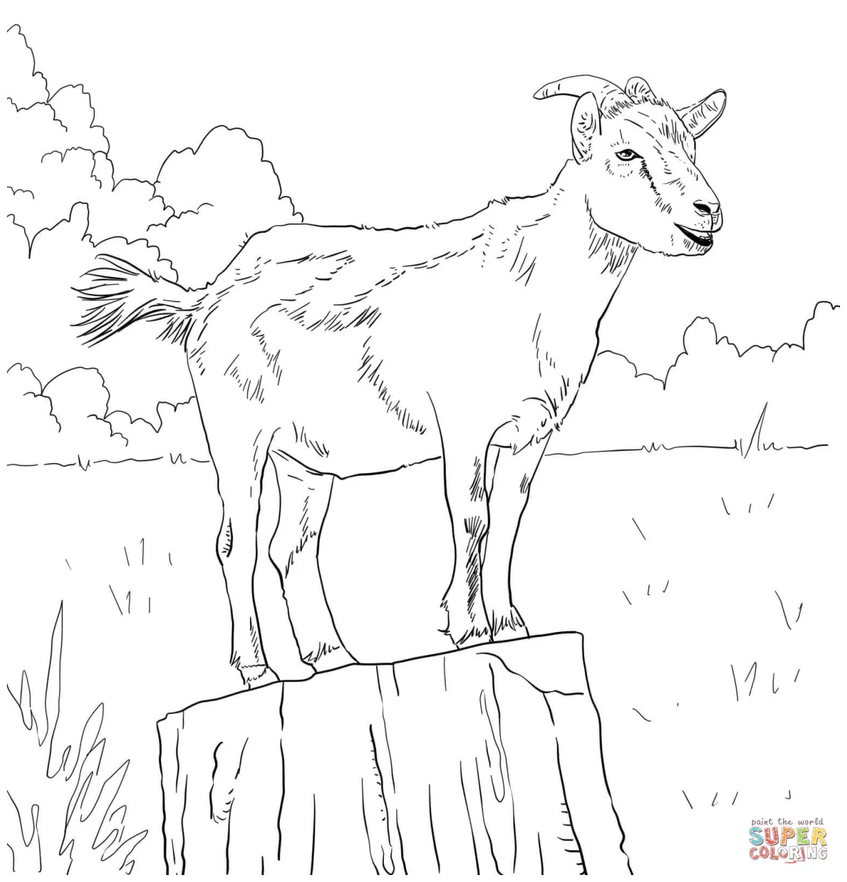 Realistic domestic goat coloring page free printable coloring pages