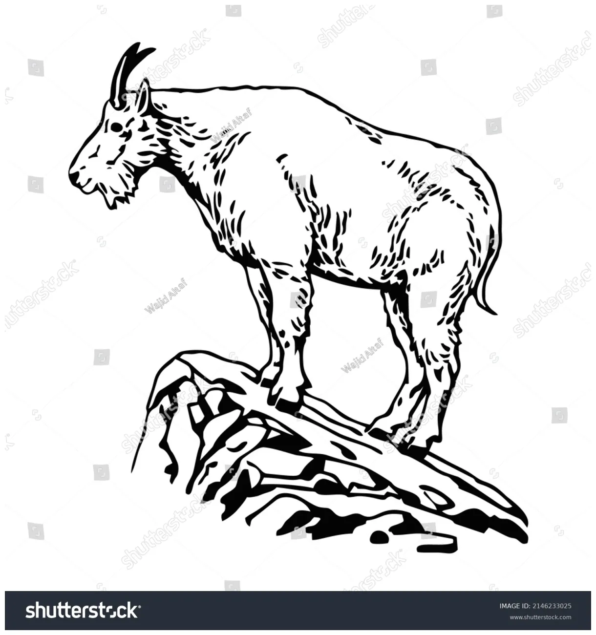 Mountain goat standing coloring page stock vector printable coloring page
