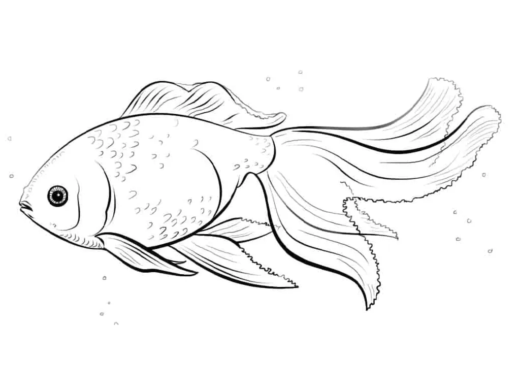 Realistic download, print or color online for free