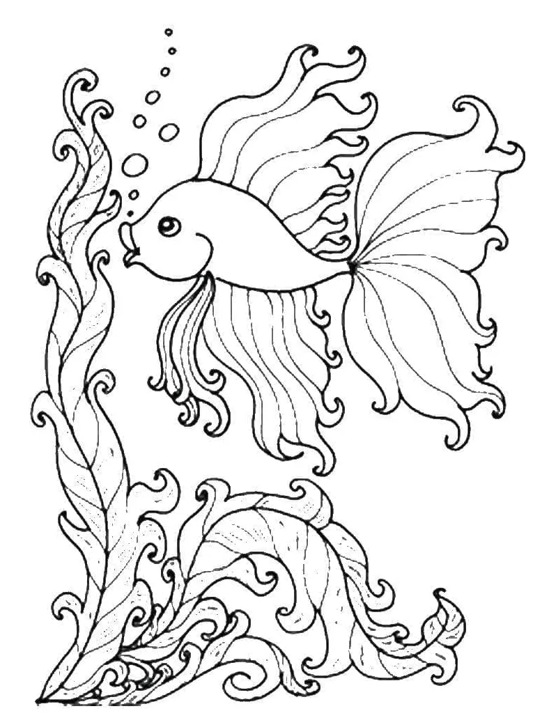 Wonderful download, print or color online for free