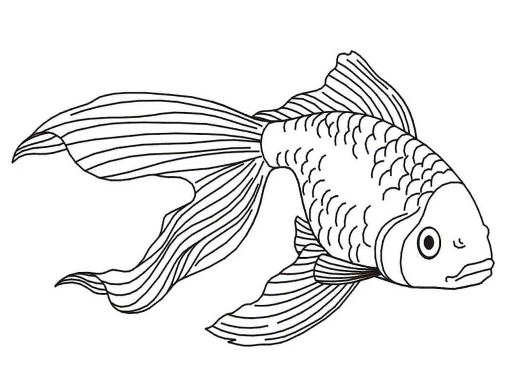 S free printable coloring pages for kids
