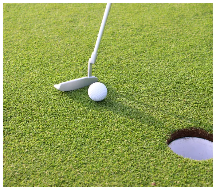 Compañeros de golf コンパニェーロス デ ゴルフ gresta登美ヶ丘