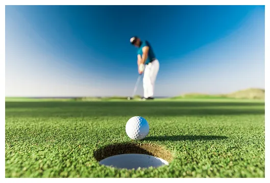 Golf facts birdie indonesia