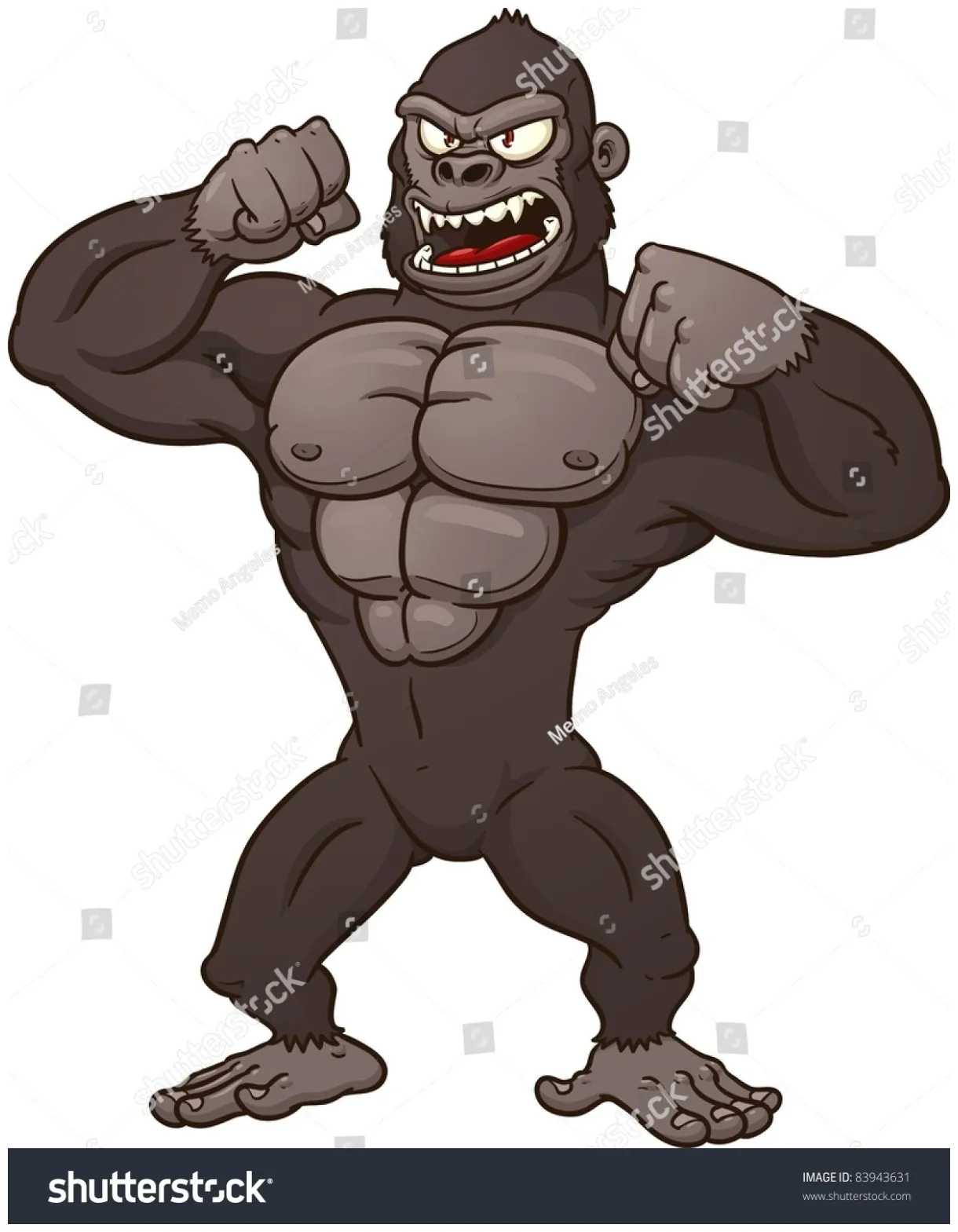 Gorilla chest beating over 28 royalty-free licensable stock