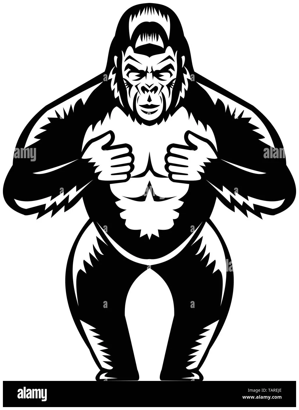 Cartoon gorilla beating chest / learn vocabulary, terms and more with